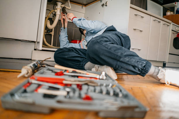 Best Plumbing Inspection Services  in Fruitland, IA