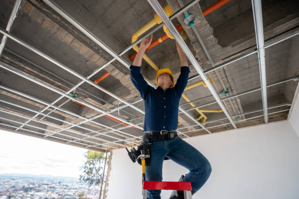 Best Commercial Plumbing Services  in Fruitland, IA