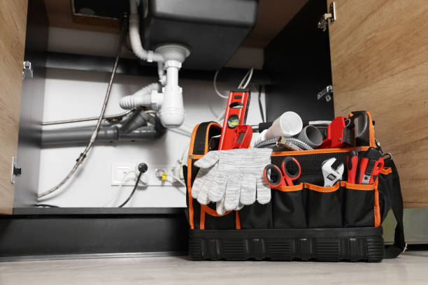 Best Toilet Repair Services  in Fruitland, IA