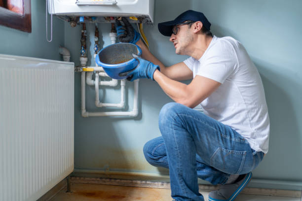 Best Clogged Drain Plumber  in Fruitland, IA