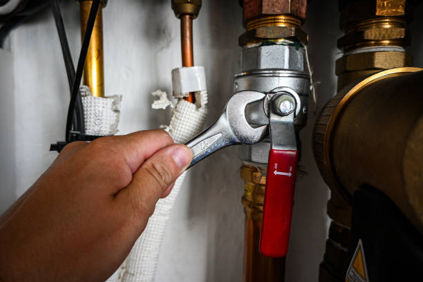 Best Same-Day Plumbing Service  in Fruitland, IA
